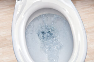 Toilet bowl flushing water